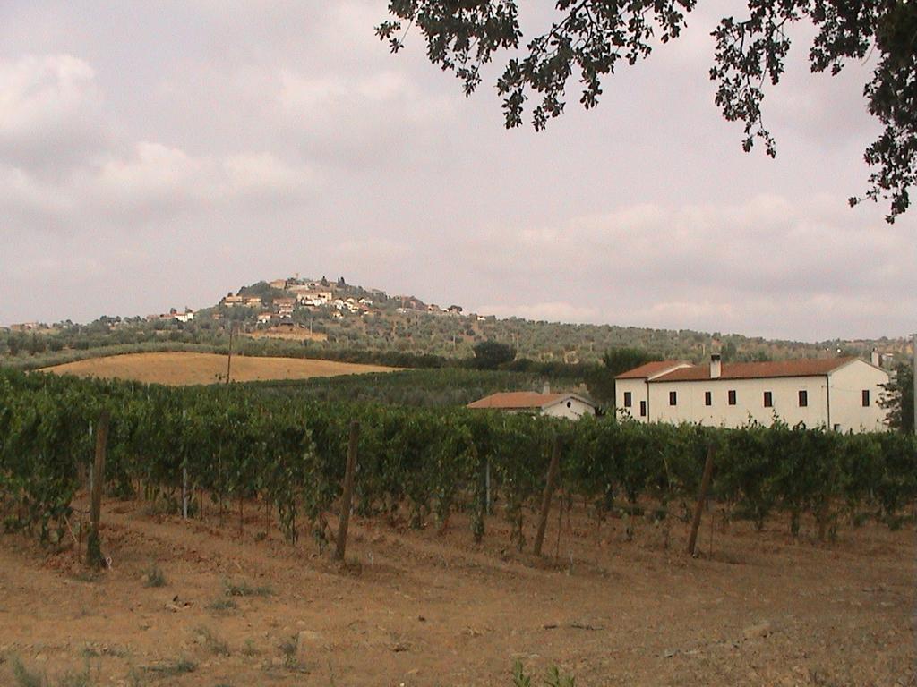Agriturismo Vigna Mai Magliano in Toscana Exterior photo