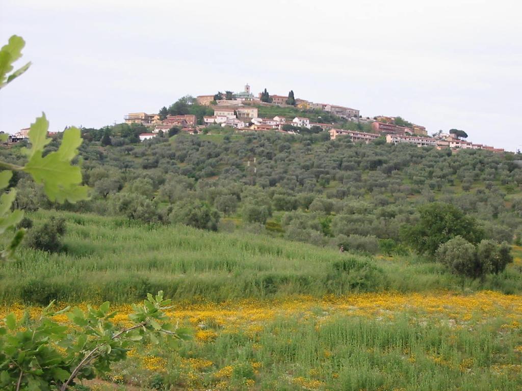 Agriturismo Vigna Mai Magliano in Toscana Exterior photo