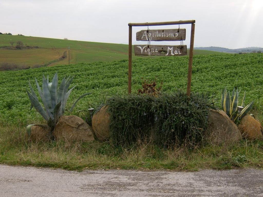 Agriturismo Vigna Mai Magliano in Toscana Exterior photo
