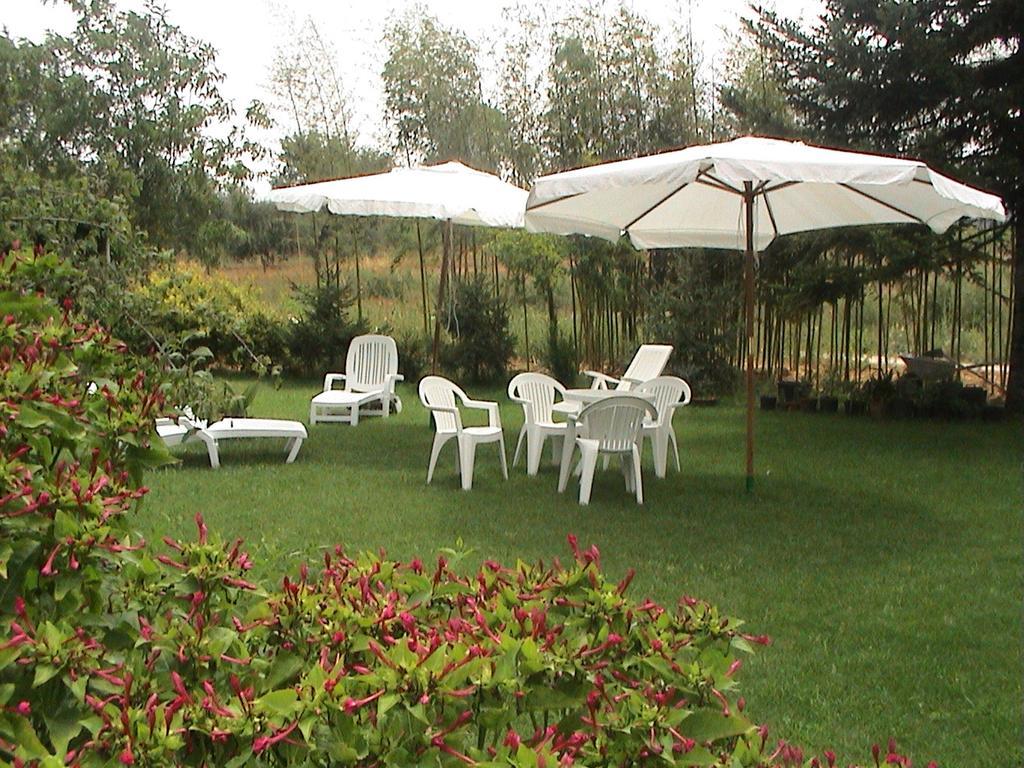 Agriturismo Vigna Mai Magliano in Toscana Exterior photo